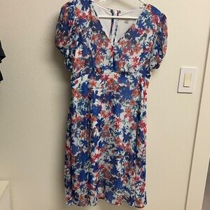 Calvin Klein Blue and Red Floral Mini Dress